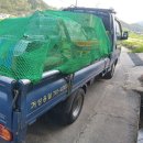 하대동389 이미지