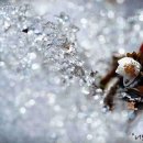 이른봄의 서정 이미지