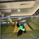 청림청과 이미지