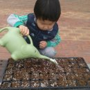 목화유치원 세계타임즈