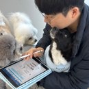 멍문대 애견유치원 이미지