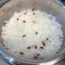 맨날김치찌개 | 가산동 김치찌개 맛집 맨날먹는 김치찌개 가산 DK점