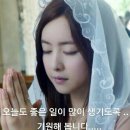 청춘집수리 이미지