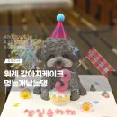 멍는개남는댕 이미지