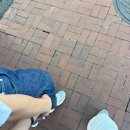 백악관호텔 | [워싱턴 D.C 여행]당일치기 코스 | 의회의사당 > 워싱턴 기념탑 > 백악관 > 링컨기념관 > 자연사박물관