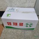양도농장 | 당근마켓 하여농장 카이피라 내돈내산 택배수령 후기