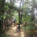 용화어린이공원 이미지