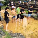 문흥초등학교 교육연합신문