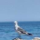 오도2리 이미지