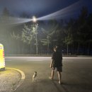 벤허 | &lt;강원 강릉여행-3&gt; 순포해변 24시 무인카페 &#34;벤허&#34; 애견동반 뚜벅이 여행 내돈내산 후기
