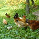 부리우체국 이미지