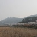 궁항길 이미지