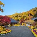 낙동강체육공원 야구장화장실 | 구미 낙동강 체육공원 금계국 만개//코스 및 주차 꿀팁