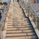 신봉초교 이미지