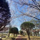 마재근린공원 이미지