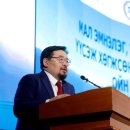 왕궁동물병원 이미지