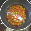 한마음토마토 이미지