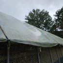 노안농장 이미지