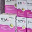 금강온누리약국 이미지