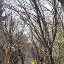 고리울가로공원 이미지
