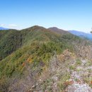 금대목장 이미지