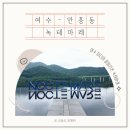 스페이스9홈SPACE9HOME | 여수 녹테마레 입장료부터 포토존까지 직접 다녀온 후기