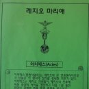 천주교오치동성당 이미지