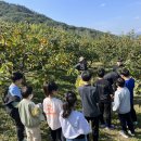 승리마루 명성도장 이미지