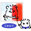 에이치부트 | [마케팅 부트캠프/퍼포먼스 마케터 취업 준비] 도와세움 디마에 93기: 11주차 후기(1)