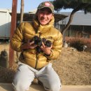 대한민국국견협회(여주진돗개 연구소) 이미지