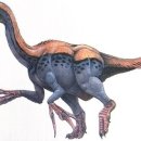 공룡발톱 이미지