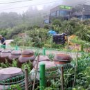 벽송농장 이미지