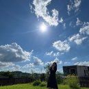 레몬우디홈 이미지