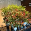 락앤클럽 노래연습장 | 힐링데이 서울 반얀트리 클럽 앤 스파 1박 + 이태원내추럴하이 후기