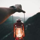 게임넷트