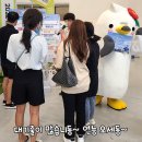 (주)동백관광 이미지