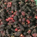 용우농장 이미지