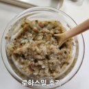 [시판이유식]베베쿡 후기이유식 후기1,2,3 입자비교(+로하스밀 후기비교)