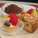 소노캄 고양 | 소노캄고양 일라고 딸기뷔페 후기!! 전메뉴 다 찍어옴!