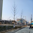 지에스(GS25)다산데시앙 네이버블로그