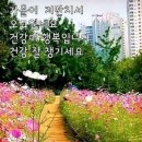 모두나라