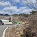 양지민박 이미지