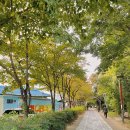 옹기종기작은도서관 이미지