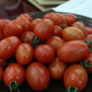 건지보건진료소 이미지