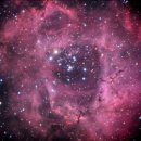 하늘달팽이 이미지