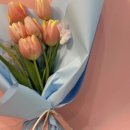 싱그러운상점