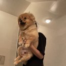 씨유씨유니 네이버블로그