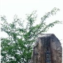 안계2리 이미지