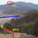 금환낙지