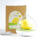 파랑새장 이미지